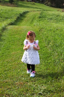 Enlarge photo 58
