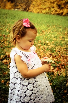 Enlarge photo 67