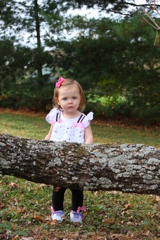Enlarge photo 81
