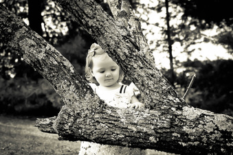 Enlarge photo 89