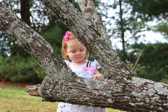 Enlarge photo 90