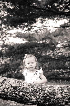 Enlarge photo 93