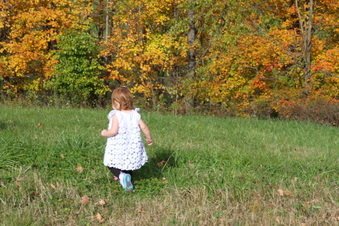 Enlarge photo 98