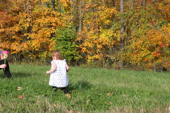 Enlarge photo 99