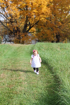 Enlarge photo 111