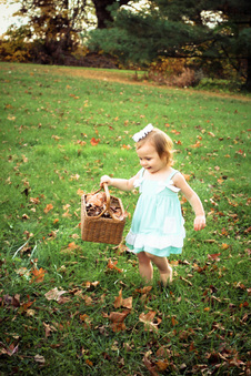 Enlarge photo 212