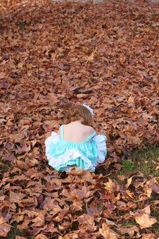 Enlarge photo 284