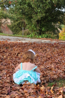 Enlarge photo 285