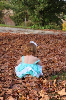Enlarge photo 286