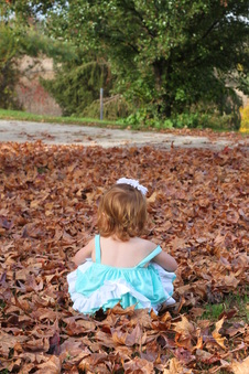 Enlarge photo 289