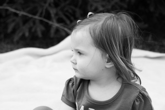 Enlarge photo 53
