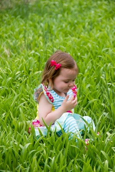 Enlarge photo 96