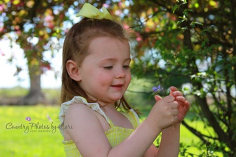 Enlarge photo 43