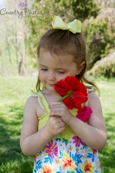 Enlarge photo 42