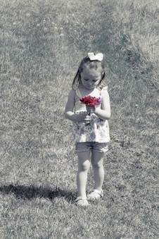Enlarge photo 37