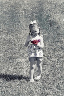 Enlarge photo 36