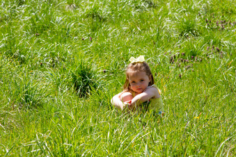 Enlarge photo 35