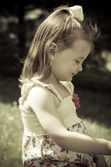Enlarge photo 29