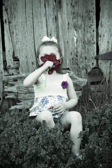 Enlarge photo 27