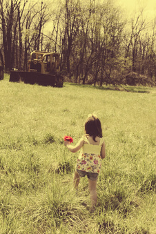 Enlarge photo 19