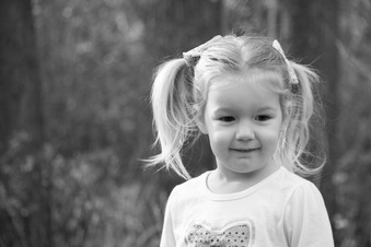 Enlarge photo 93