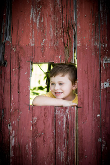 Enlarge photo 147