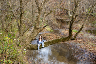 Enlarge photo 27