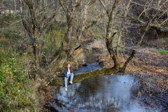 Enlarge photo 28
