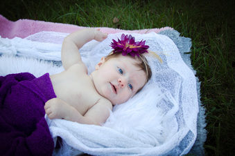 Enlarge photo 238