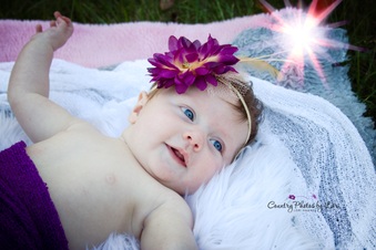 Enlarge photo 240