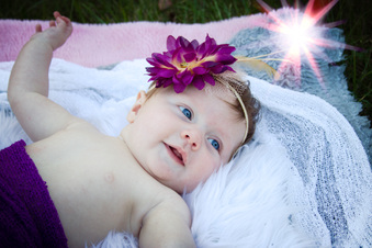 Enlarge photo 241