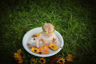 Enlarge photo 257