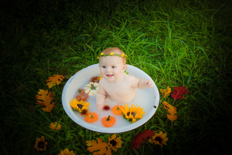 Enlarge photo 259