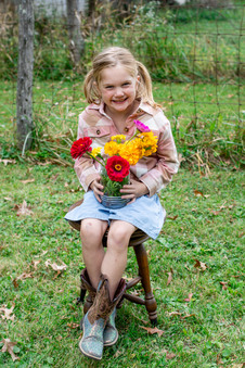 Enlarge photo 62