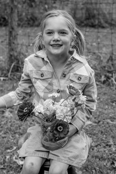 Enlarge photo 66