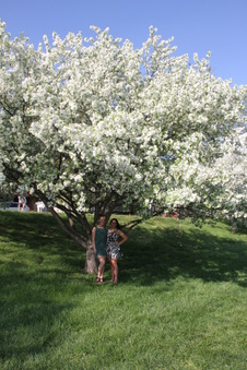 Enlarge photo 13