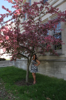 Enlarge photo 215