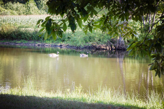 Enlarge photo 15