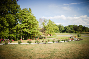Enlarge photo 66