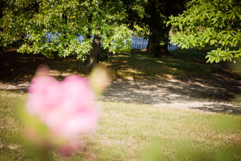 Enlarge photo 68