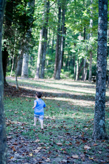 Enlarge photo 82