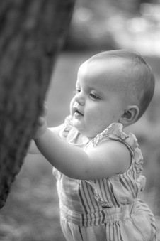 Enlarge photo 112
