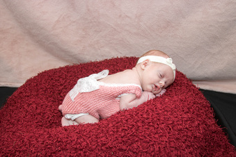 Enlarge photo 110