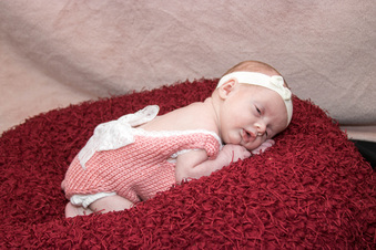 Enlarge photo 109