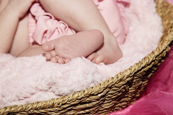Enlarge photo 97