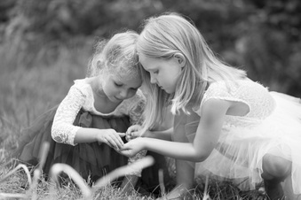Enlarge photo 135