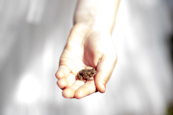 Enlarge photo 140