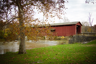 Enlarge photo 35