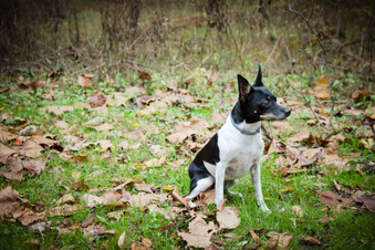 Enlarge photo 49