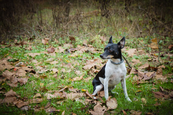 Enlarge photo 51